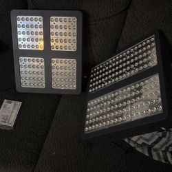 Led Lights 