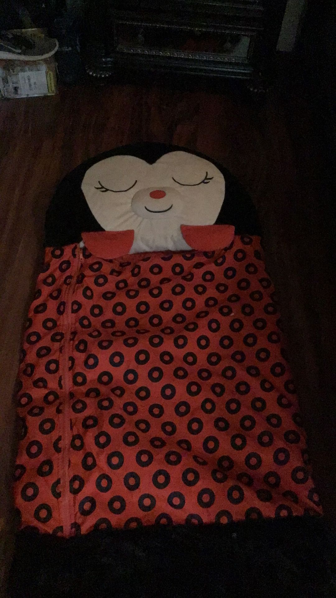 Lady Bug Sleeping Bag