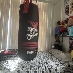 Real Kids Punching Bag