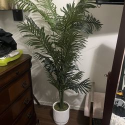 Fake Plant