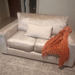 Preowned Sofa And Love seat Like New 