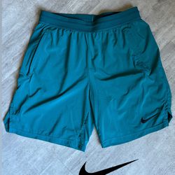 Nike Shorts, Size Large