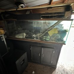 120 Gallon Oceanic Saltwater Tank 