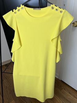 Zara Pencil Dress Small