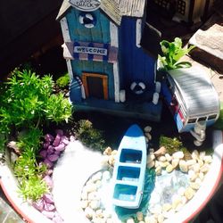 Miniature Fairy Garden...Live Plants