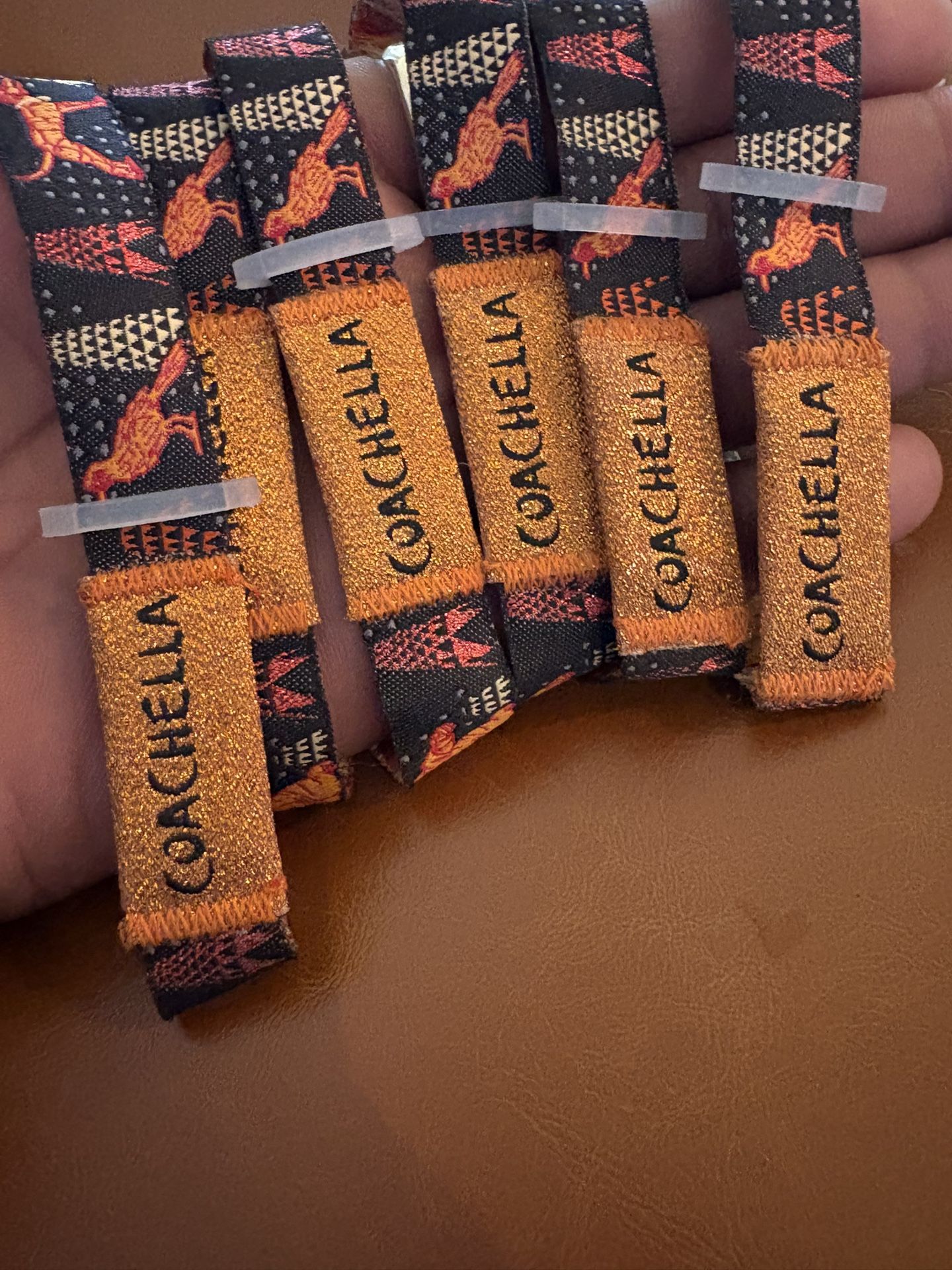 Coachella Weekend