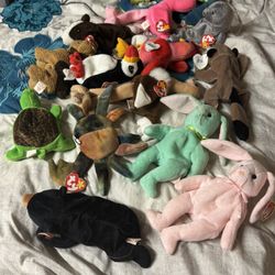 Beanie Babies 