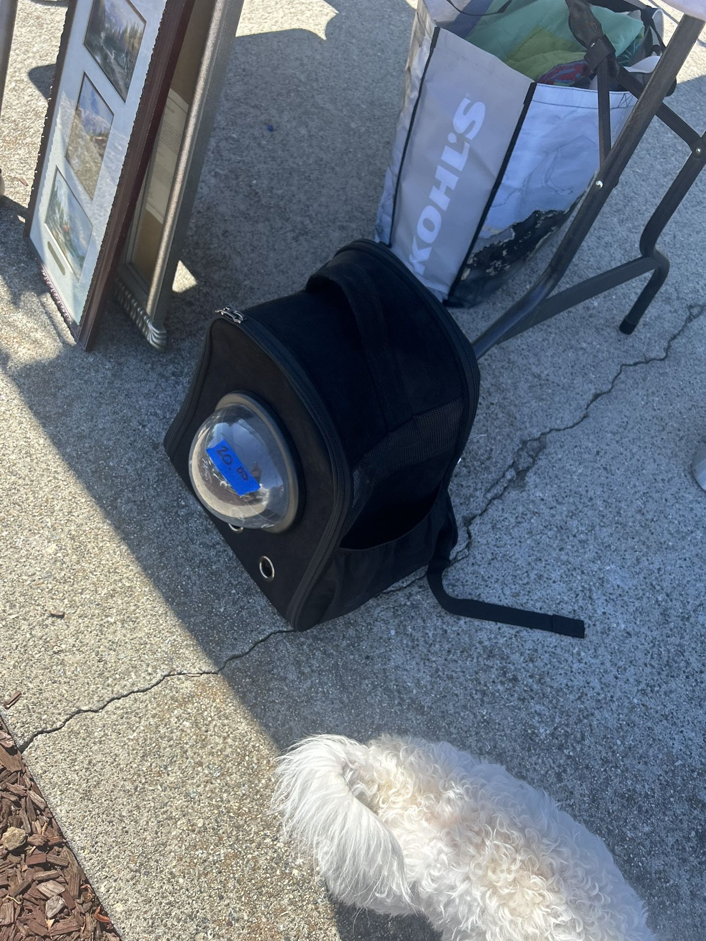 Pet Carrier