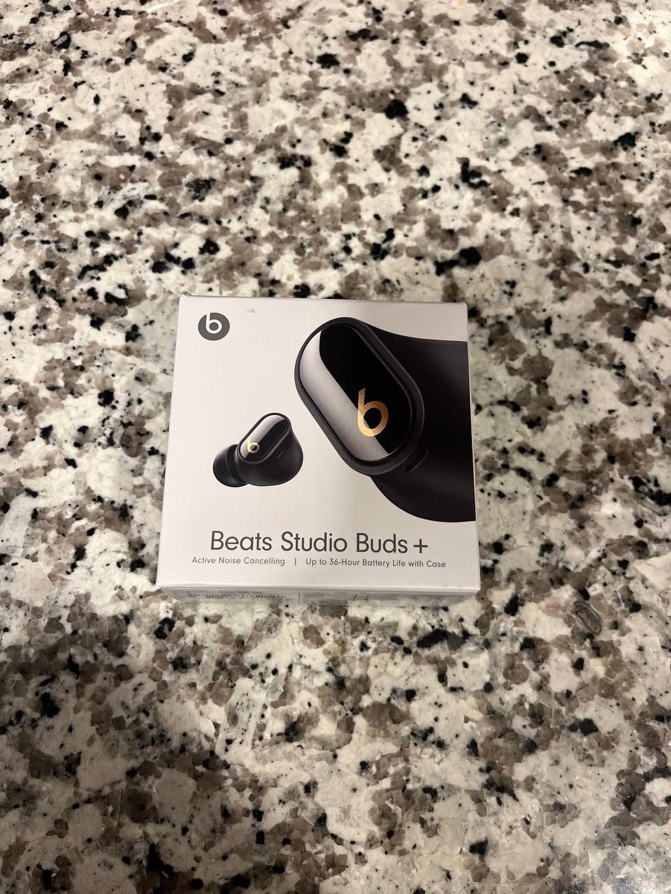 Beats Studio Buds (Brand New)