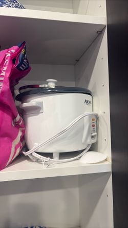 NEEDS TO GO - RICE COOKER