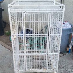 Bird Cage