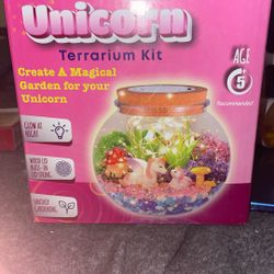 Girls Toy