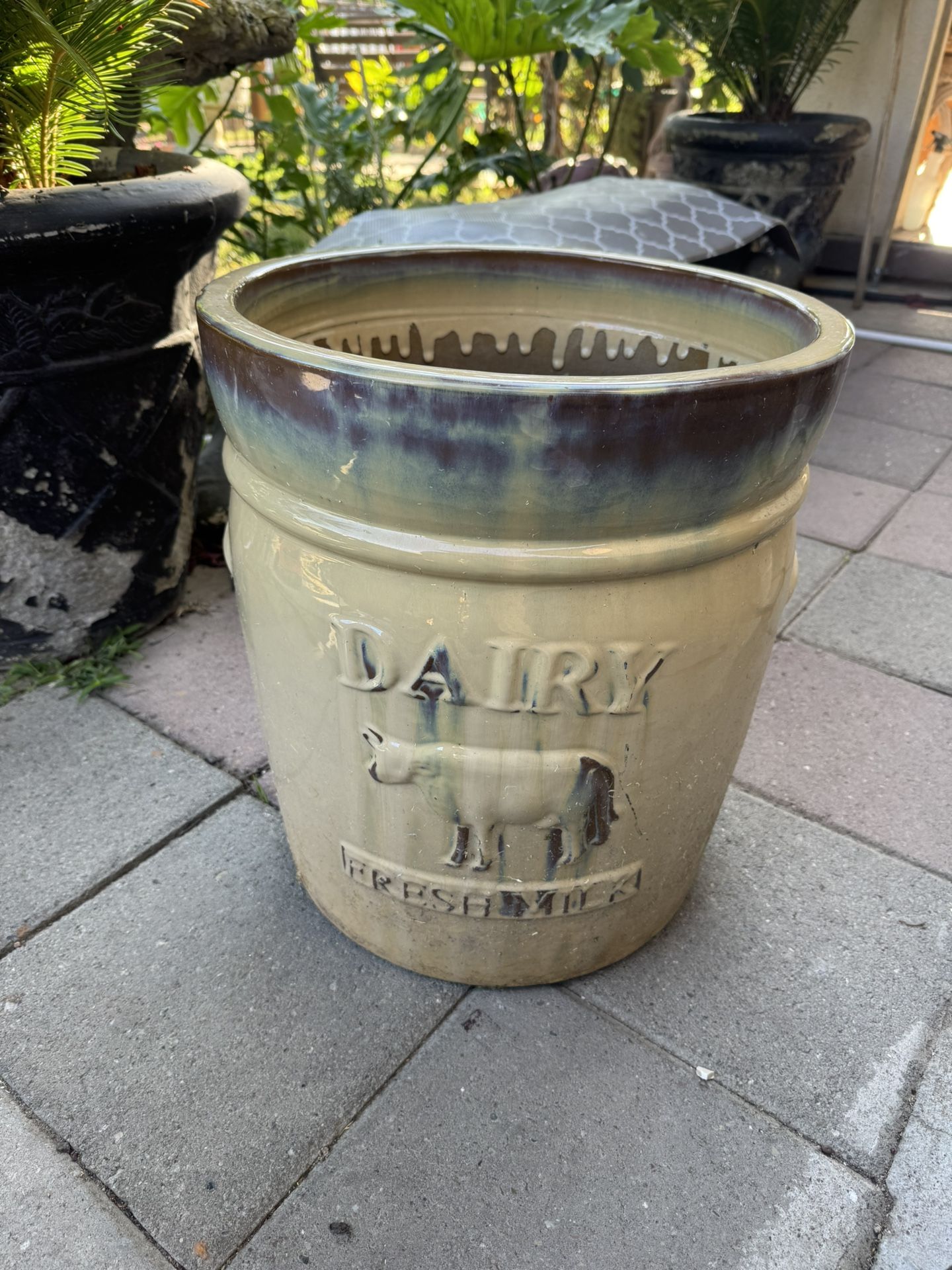 DAIRY FRESS MILK PLANTER POT