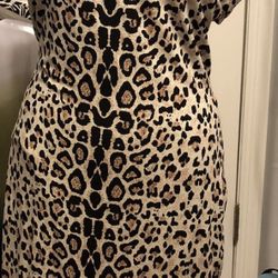 NWT Dress  Brand New  Size Large
