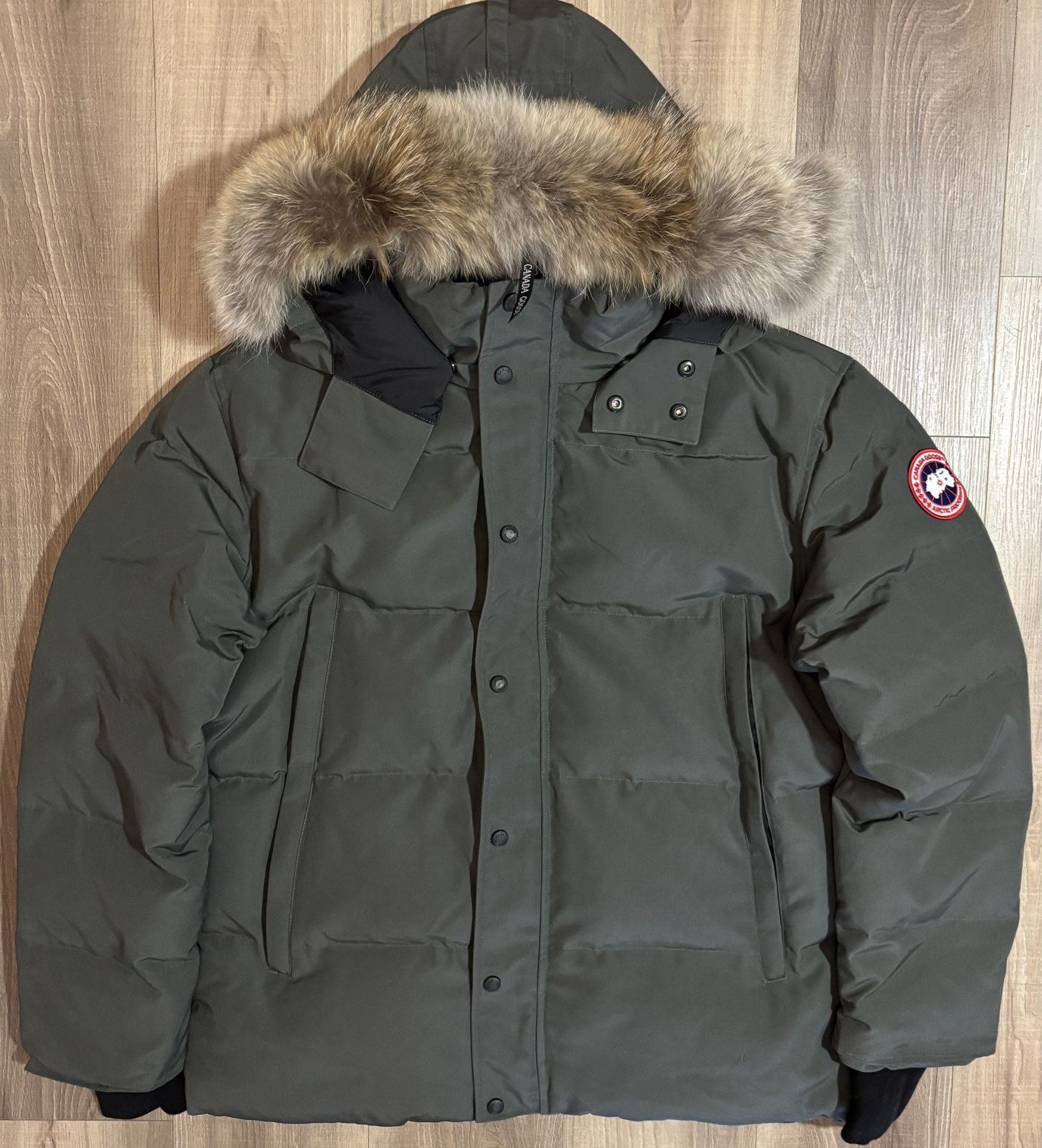Winter Jacket Multiple Sizes
