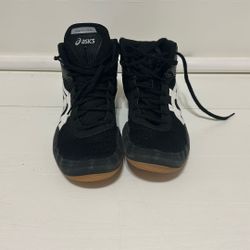 Wrestling Shoes
