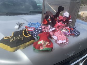 Various dog clothes