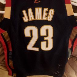 LeBron James Small Size Kids Jersey Age 6 And Under