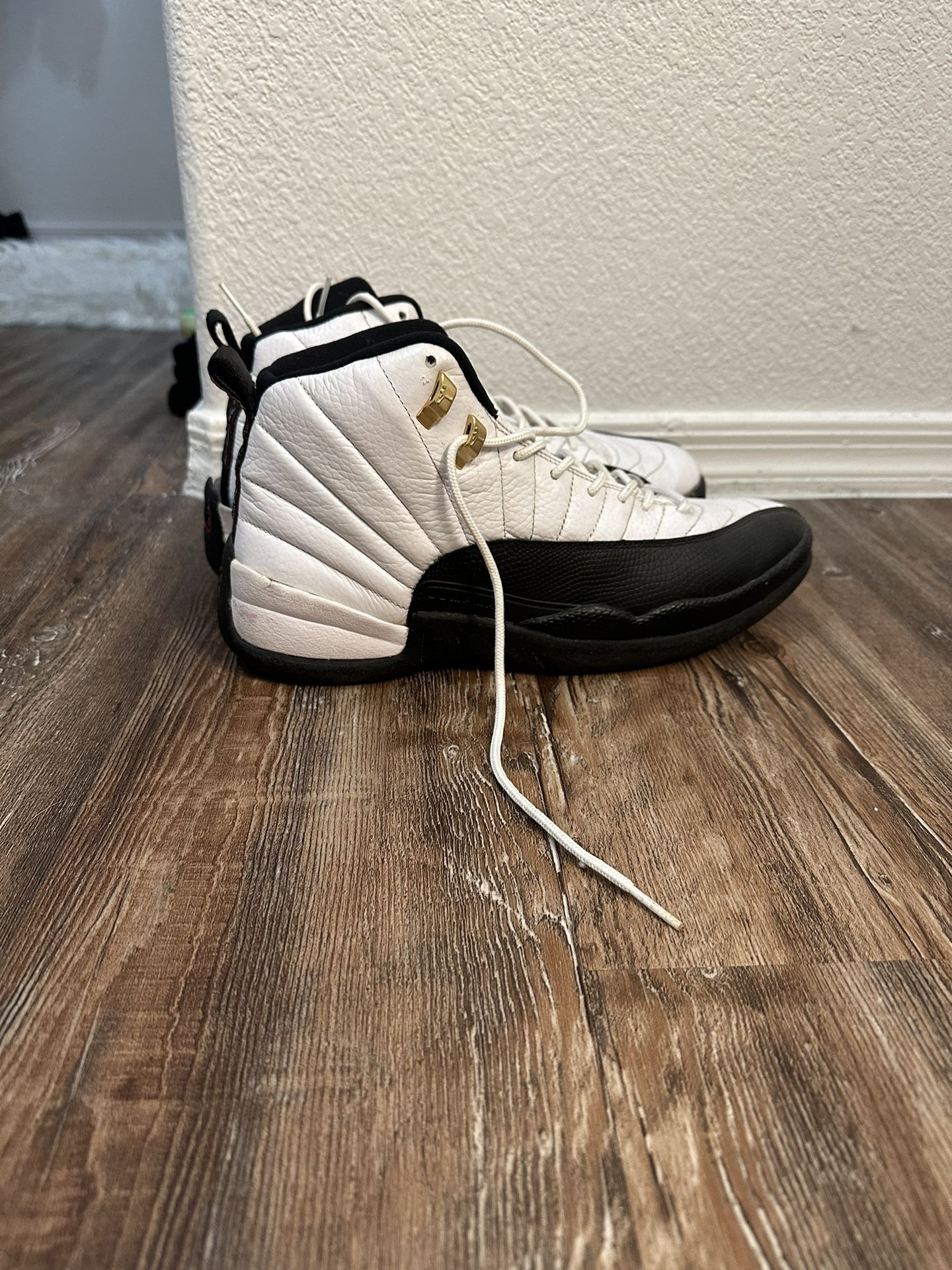 2008 Dmp Jordan 12 Size 11