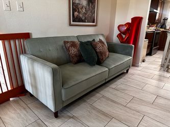 Velvet Couch