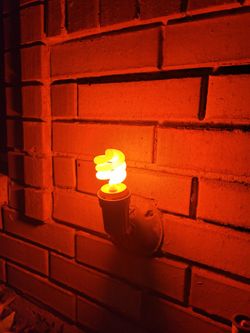 Halloween LIGHTS Outside