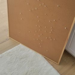 Pin Board