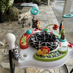 Baby Bouncer