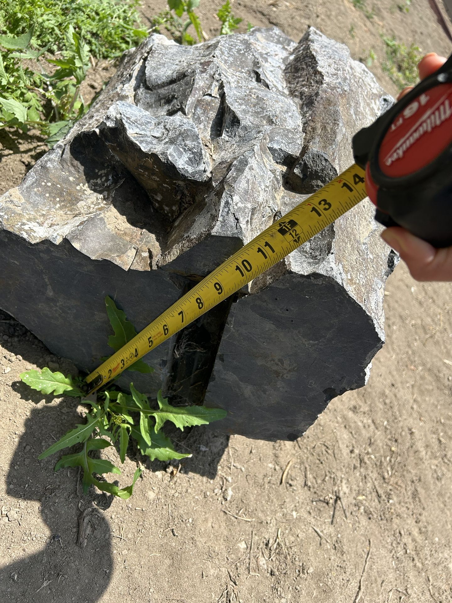 FREE FOUNTAIN ROCK