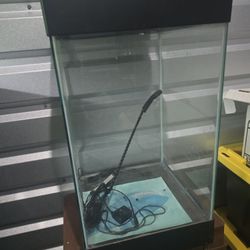 Small Fish Tank