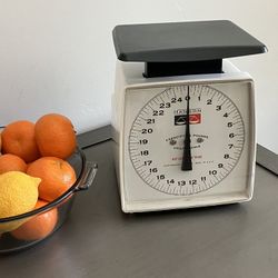 Hanson vintage Scale