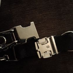 Traning Dog Collar 