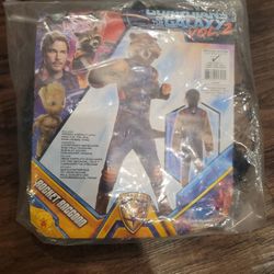 Guardians Of The Galaxy Rocket Raccon Costume
