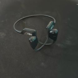 Shokz Openrun Headphones
