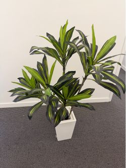 Fake plant deco
