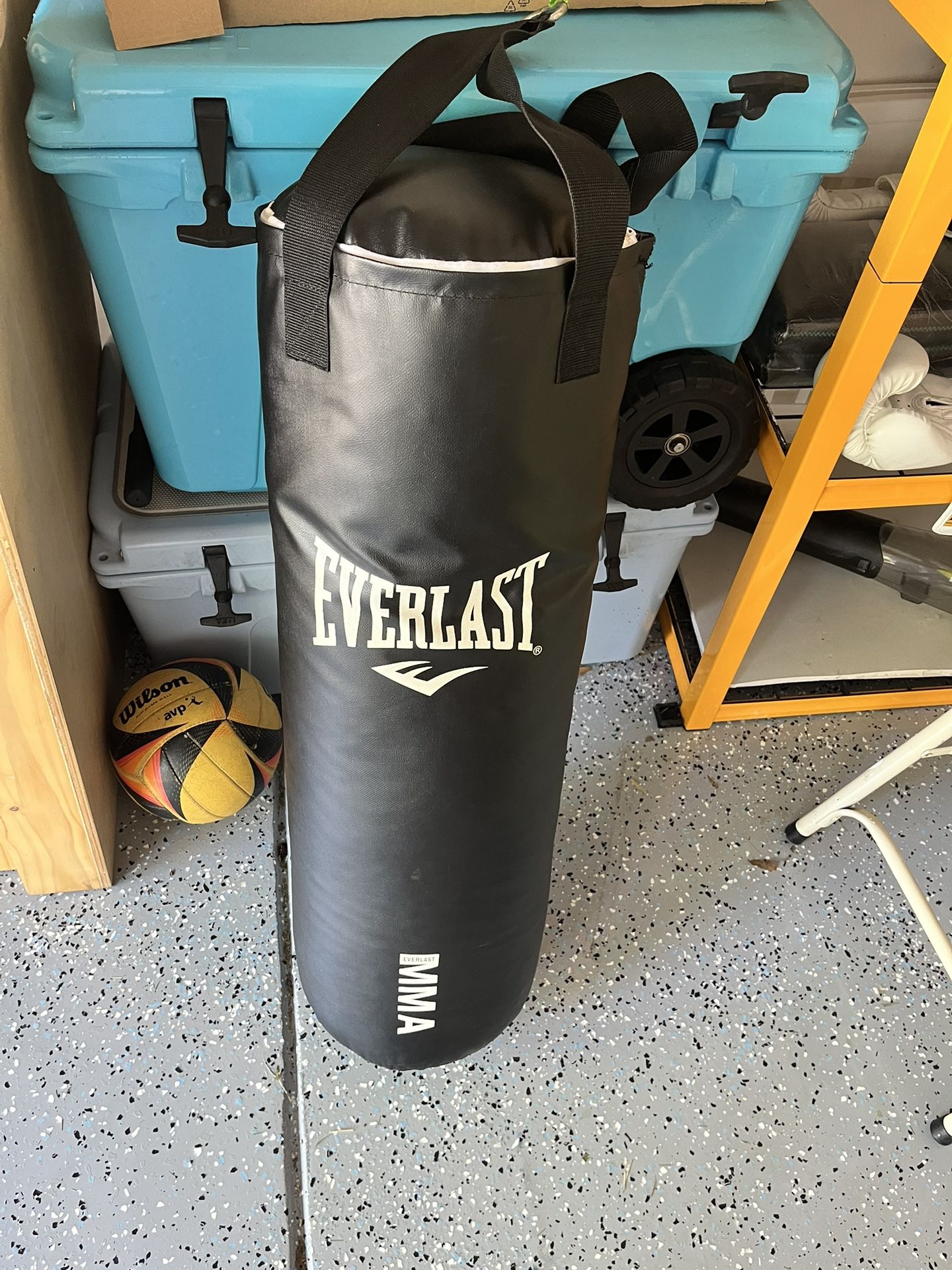 Everlast Punching Bag