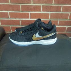 Nike LeBron 20 "Black/Gold" Size 17 NEW