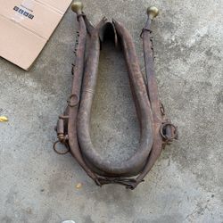 Antique Horse/mule Pull Harness