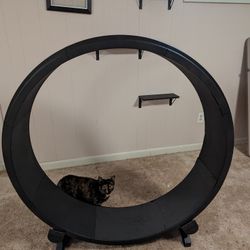 Cat Exercise Wheel