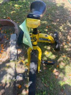 Triciclo for sale