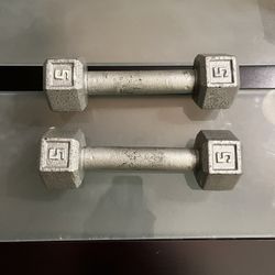 Cast Iron hex 5 lb dumbbell set Total 10 lb