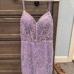 Berlinnova Mini Dress (Homecoming)