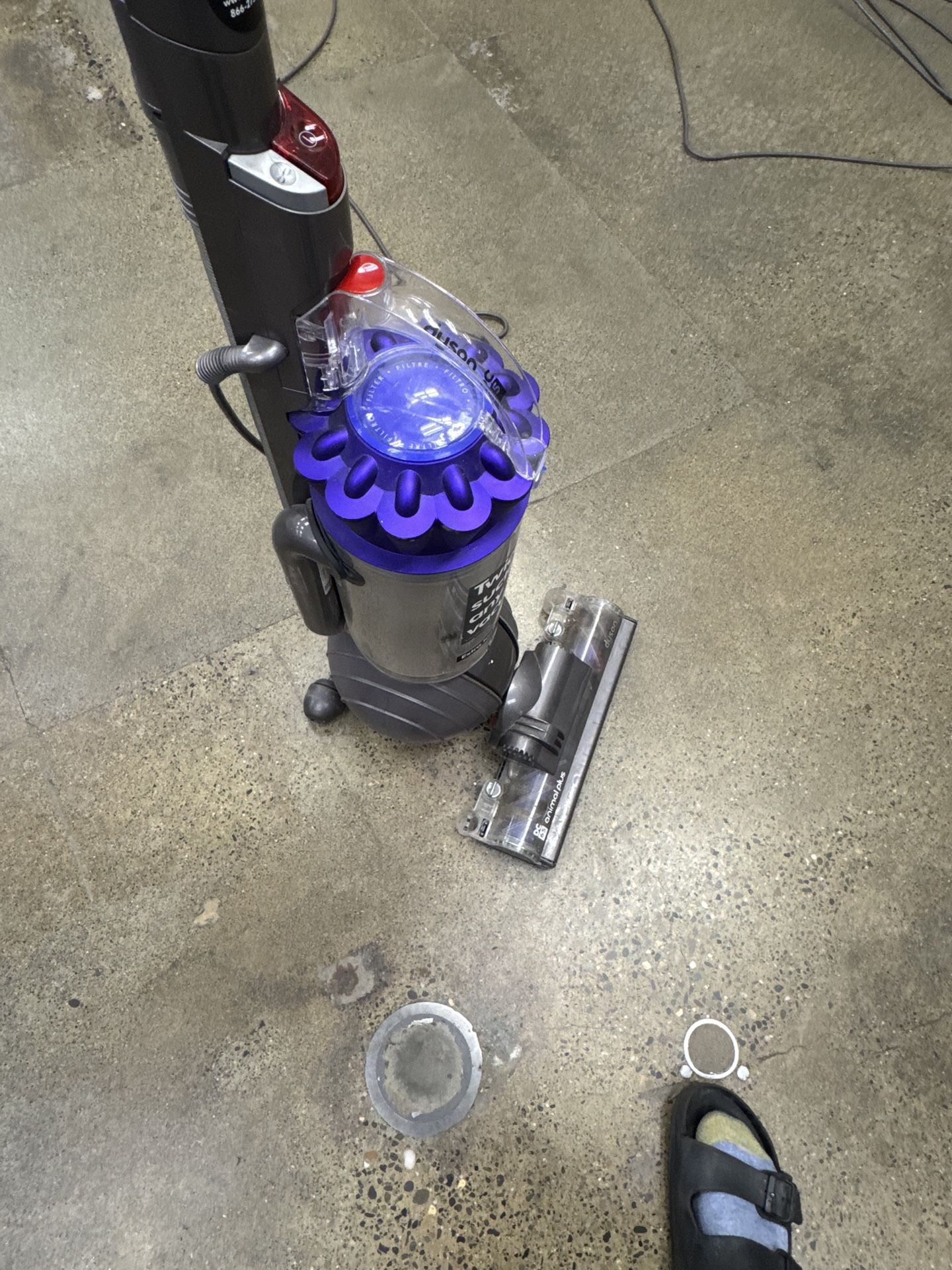 dyson dv animal
