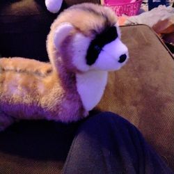 Ferret Stuffed Animal 