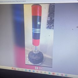 Punching bag