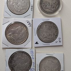 6 Morgan Silver Dollars