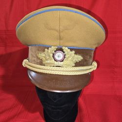 1OO% ORIGINAL WW2 GERMAN POLITICAL LEADERS ORTSGRUPPE DISTRICT OFFICIALS VISOR CAP 
