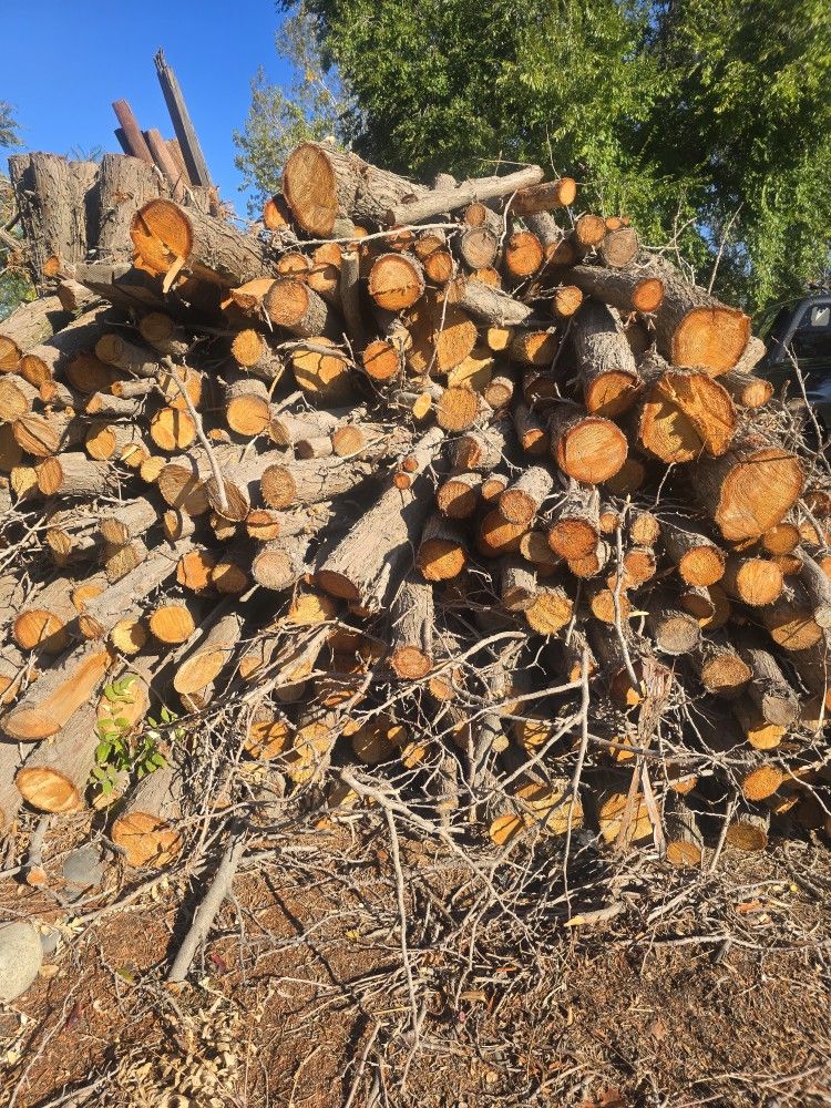 Seasoned Firewood Over A Cord
