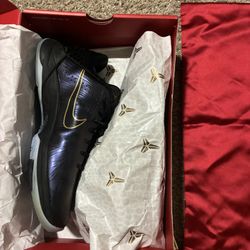 Kobe V Protro (eggplant) 