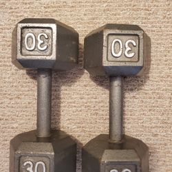 30 Lbs Hex Dumbells 