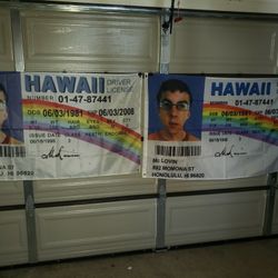 McLovin Hawaii License Flags